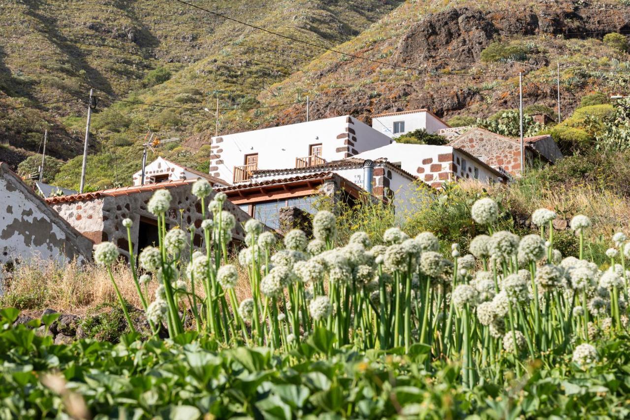 Home2Book Nature Carrizales And Masca House & Wifi Буэнависта-дель-Норте Экстерьер фото